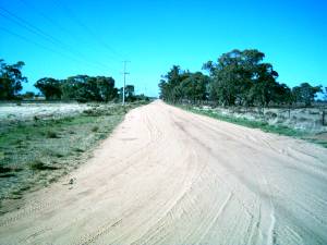 The Long Paddock in Echuca