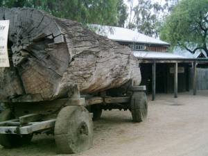 Gro&szlig;er Baumstamm auf einem Cart in Echuca