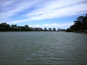 Der Murray bei Lake Carlet
