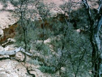 Robbers Cave