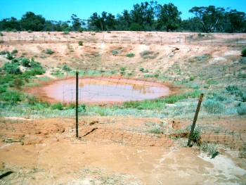 Allens Plain Tank