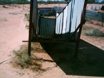 Feral Goat Control