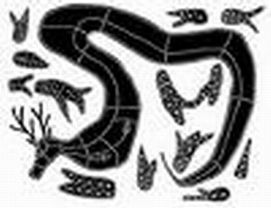 Nitmiluk National Parks Logo