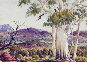 Landscape with Ghost Gum 