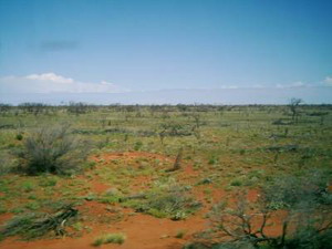 Outback