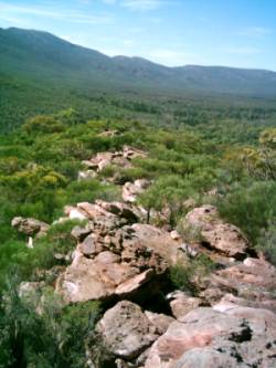 Blick hinunter in den Wilpena Pound 