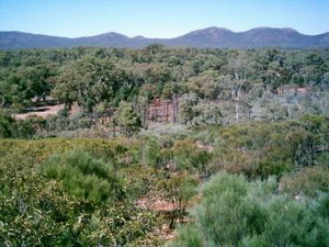 Blick in den Wilpena Pound vom Wangara Lookout