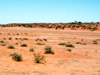 Salzsee bei William Creek auf dem Weg nach Coober Pedy