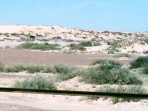 Sandberg am Lake Eire