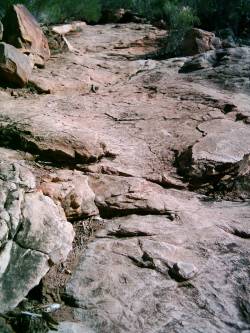 Wilpena Pound - Aufstieg zum Lookout
