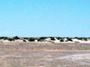 Sandhill am Lake Eire