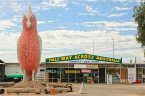 &Uuml;berdimensionaler Rosa Kakadu vor dem Half way across Australia sign in Kimba