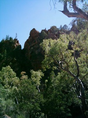 Telowie Creek Georges