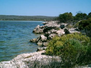 The Bench - Lincoln National Park