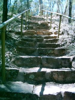 Treppen f&uuml;hren aus dem Alligator Gorge