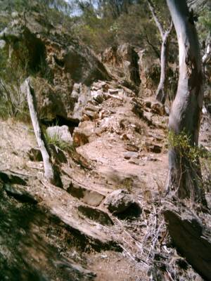 Amber Gully im Black-Hill-Conservation-Park