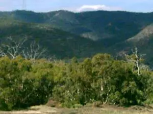 Blick auf die Flinders Ranges