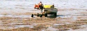Bootstransport in Port Germain