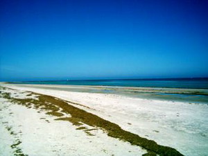 Largs Bay - bauer Himmer, wei&szlig;er Strand