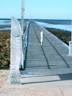 Jetty in Port Germain