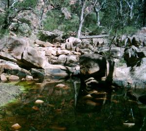 Telowie Creek - Steine im Creek