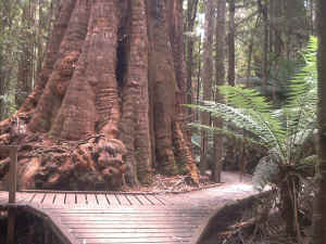 Great Nature Trail