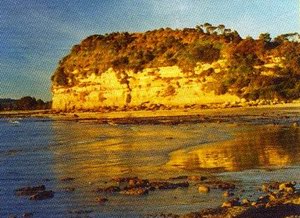 Fossil Bluff, Great Nature Trail