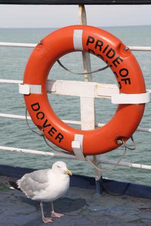 Die Pride of Dover bringt uns von Dover nach Brügge