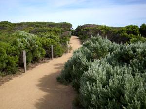 warrnambool Weg durch die Dünen