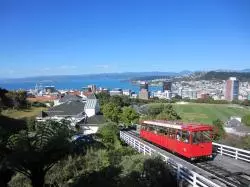 Blick auf Wellington