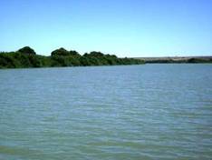 Murray River, grünes Ufer