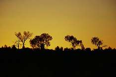 Westaustralien - Sonnenuntergang