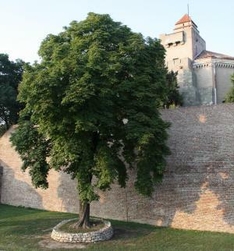 Belgrad Fort