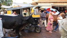 Verkehr in Jodhpur