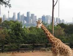 Taronga Zoo Sydney, NSW, Australien