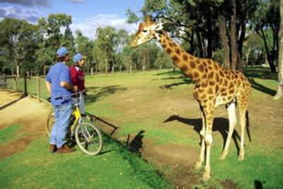 Bathurst Zoo