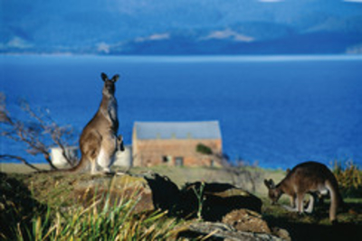 Maria Island Nationalpark