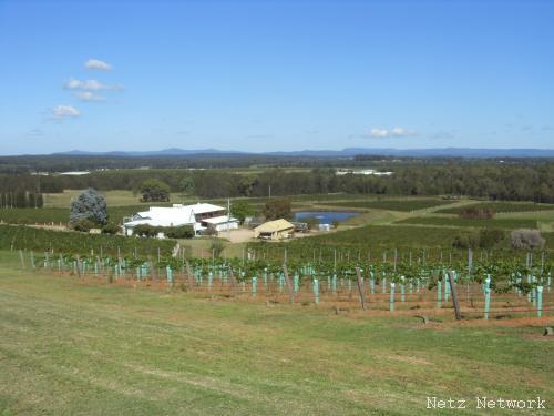 Weinanbau Hunter Valley