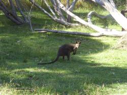 Aborigines Erlebnis Australien