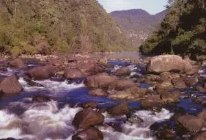 Colo River Wildniss
