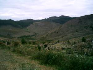 Mount Canabolas