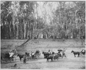 Der Murray River bei Riversdale 1914