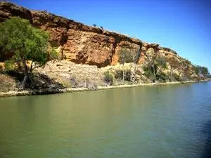 Ufer des Murray vom Boot aus Fotografiert