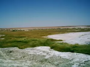 Salzsee Mound Springs