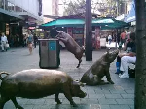 Die "Schweine" an der Adelaide Mall