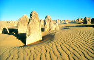 Die Pinnacles machten den Nambung Nationalpark bekannt