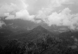 Mount Warning