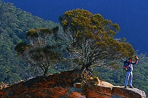 Yengo Nationalpark in den Blue Mountains